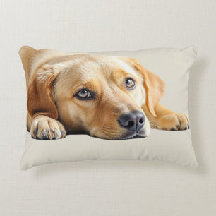 Almohada de Labrador Dorado