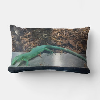 Almohada de lagarto vientre de quilla verde