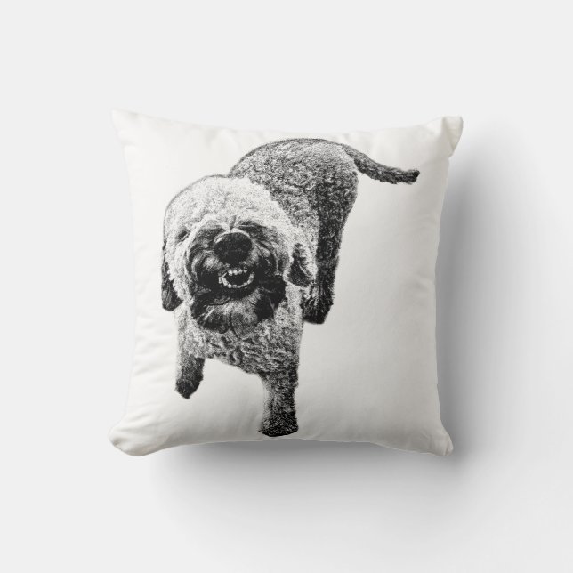 Almohada de Lagotto Romagnolo – Diseño de Perro Fe (Anverso)