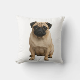 almohada de lanzamiento
