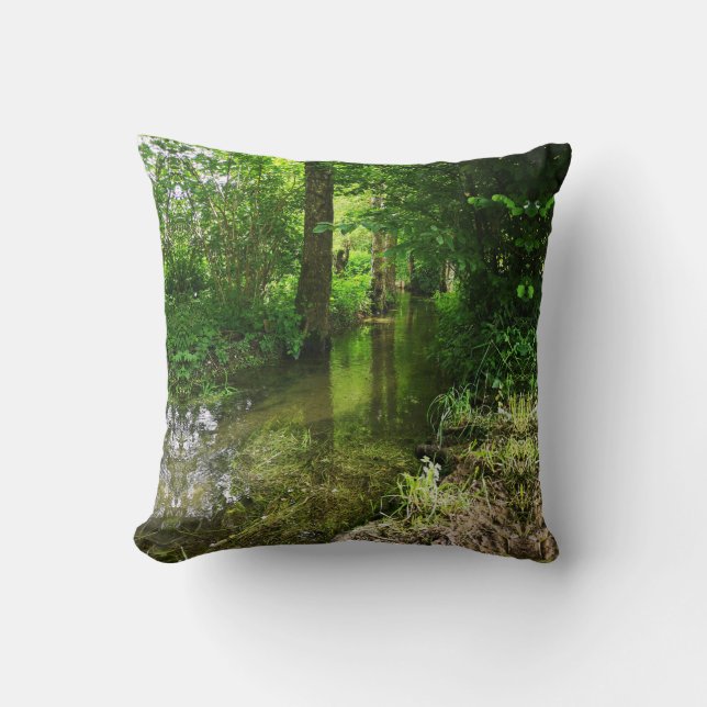 almohada de lanzamiento (Anverso)