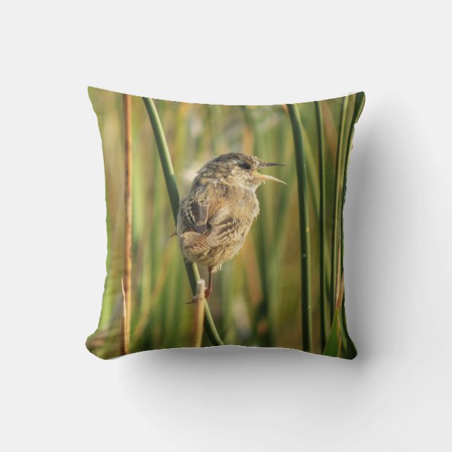 Almohada de lanzamiento de Cistothorus palustris (Anverso)
