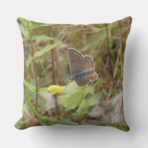 Almohada de lanzamiento de mariposa Argus marrón