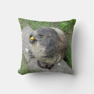 almohada de lanzamiento de marmota