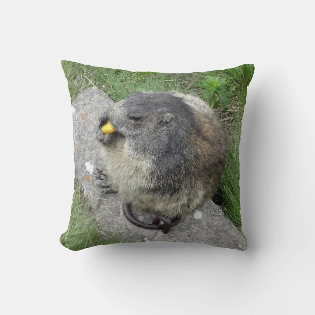 almohada de lanzamiento de marmota (Anverso)