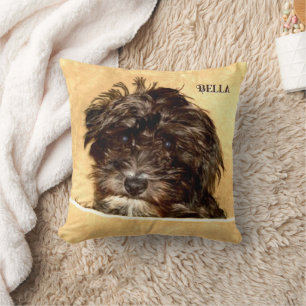Almohada de lanzamiento de perro Schnoodle con tex