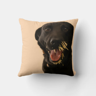 Almohada de lanzamiento de perro vs. puercoespín
