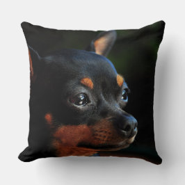 almohada de lanzamiento de Pinscher en miniatura