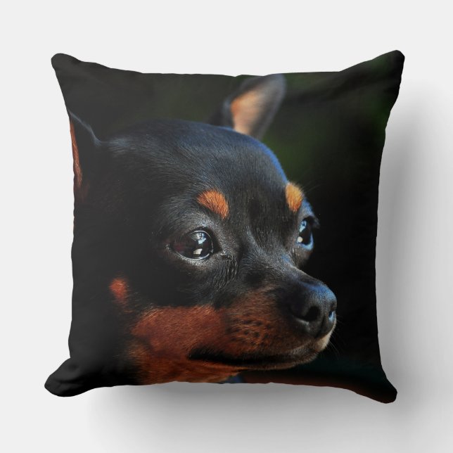 almohada de lanzamiento de Pinscher en miniatura (Anverso)