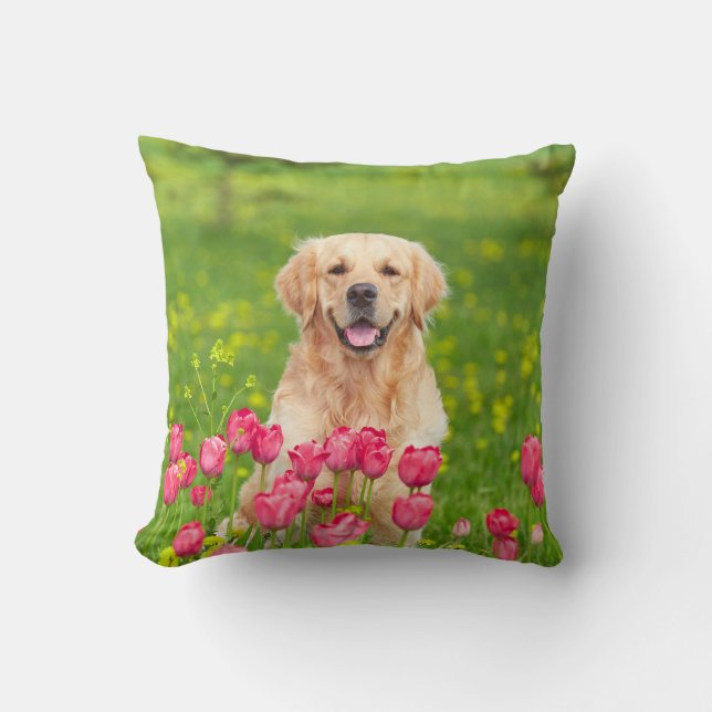 Almohada de lanzamiento de Retriever Dorado (Anverso)