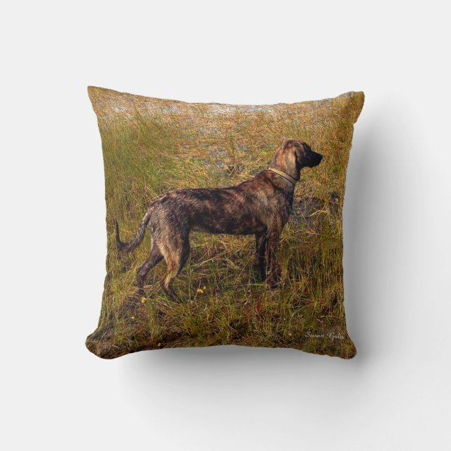 Almohada de lanzamiento de sabueso Plott atigrado  (Anverso)