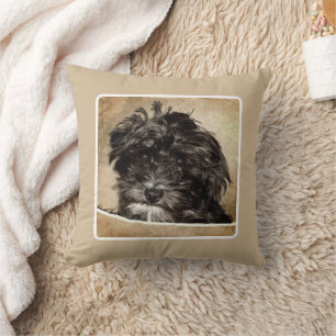 Almohada de lanzamiento de Schnoodle Pepple