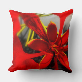 Almohada de lanzamiento Flor de Poinciana Real