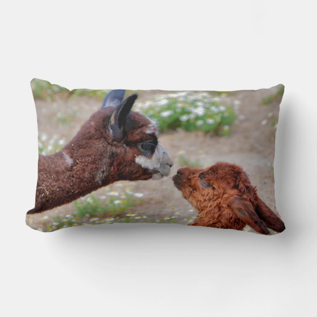 Almohada de las alpacas (Anverso)