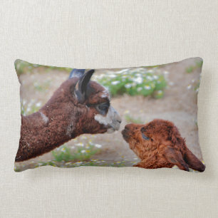Almohada de las alpacas