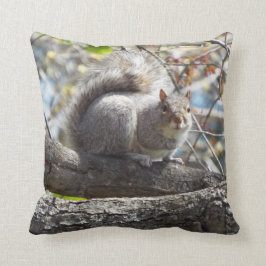 almohada de las ardillas