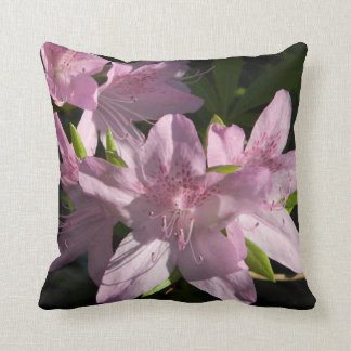 Almohada de las azaleas de la tarde