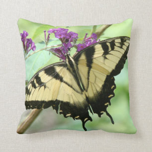 Almohada de las flores de mariposa