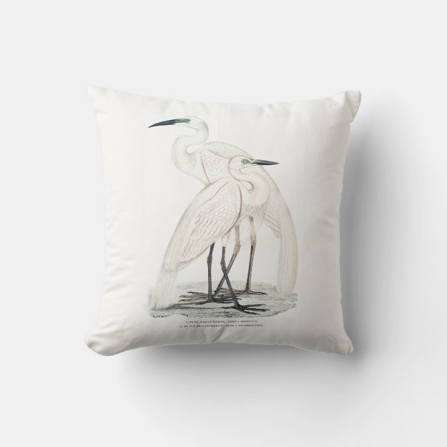 Almohada de las garzas (Anverso)