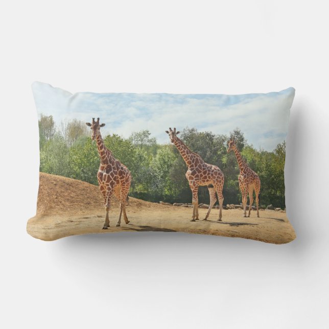 Almohada de las jirafas (Anverso)