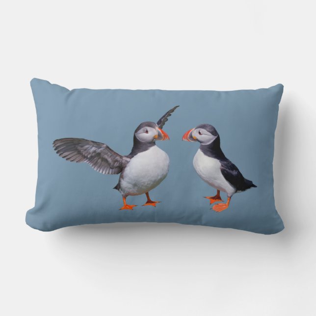 Almohada de las pastillas de aleta (Azul cielo) (Anverso)