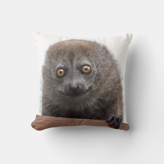 Almohada de lémur bebé (Anverso)