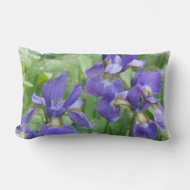 Almohada de los bulbos del iris (Anverso)