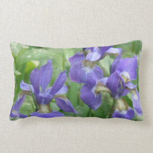 Almohada de los bulbos del iris