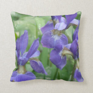 Almohada de los bulbos del iris