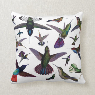 Almohada de los colibríes