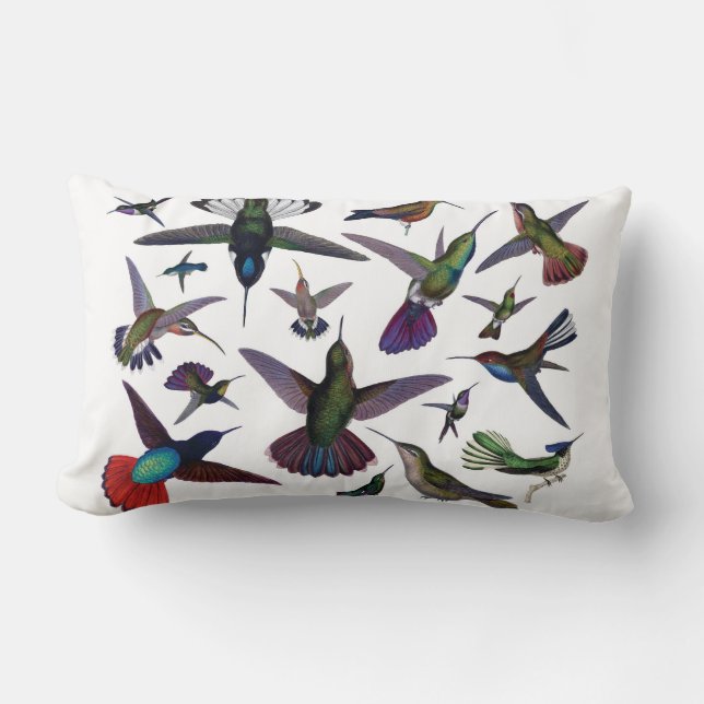 Almohada de los colibríes (Anverso)