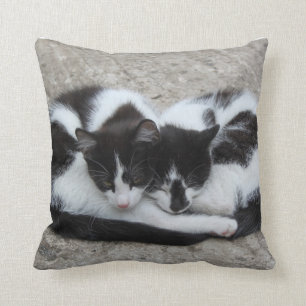 Almohada de los gatos del amor