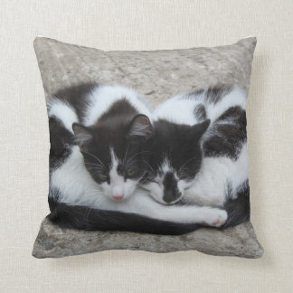 Almohada de los gatos del amor