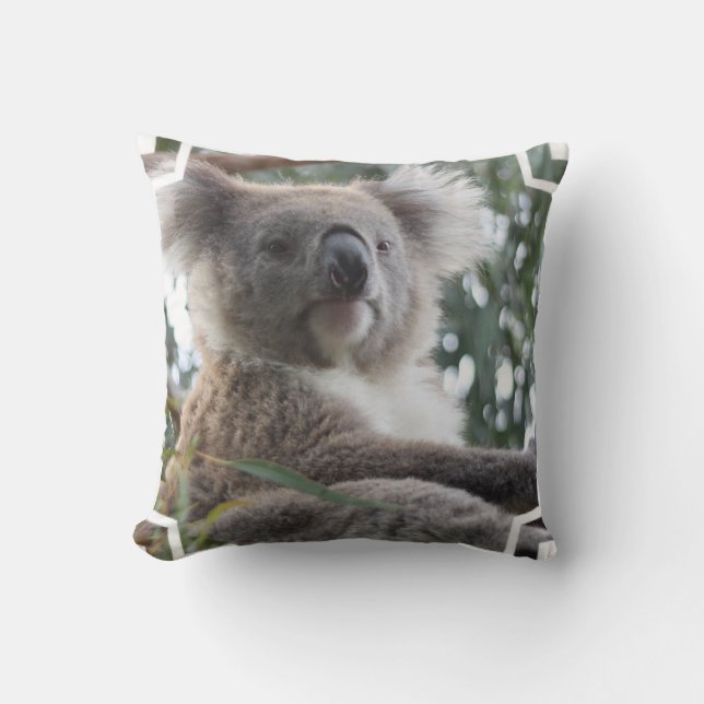 Almohada de los hechos del oso de koala (Anverso)