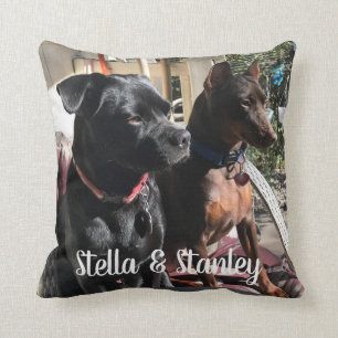 Almohada de los nombres del animal de compañía q