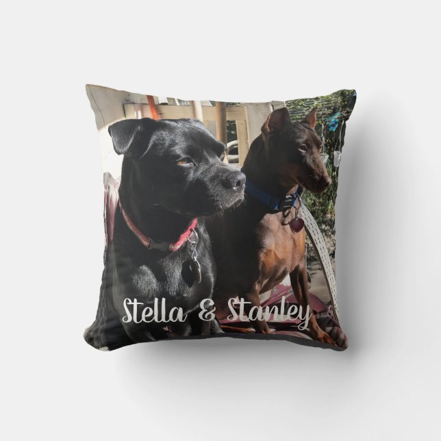 Almohada de los nombres del animal de compañía que (Anverso)