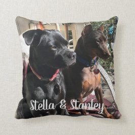 Almohada de los nombres del animal de compañía que