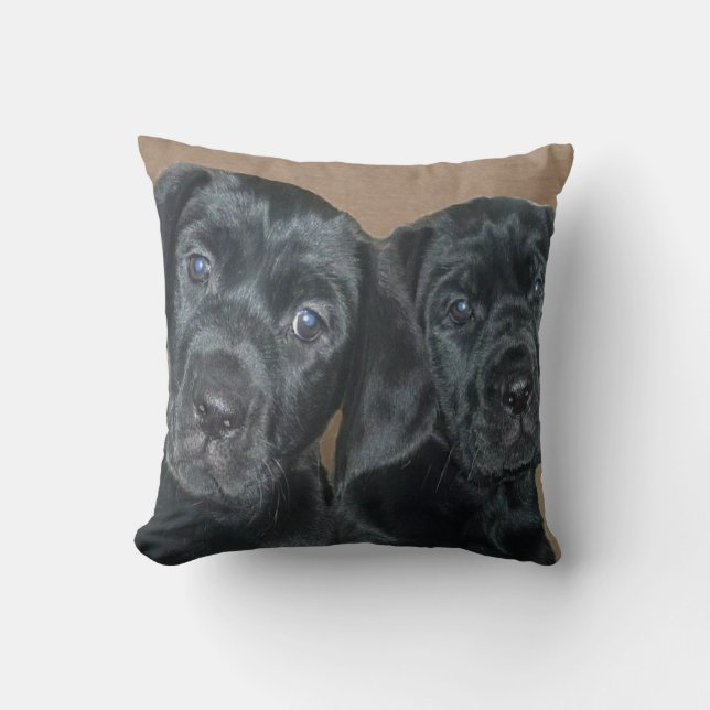 Almohada de los perritos de Mastador (Anverso)