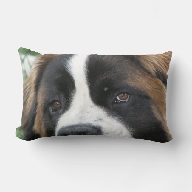 Almohada de los perritos de St Bernard (Anverso)