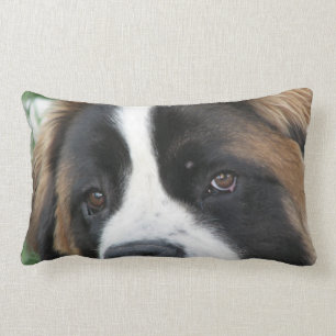 Almohada de los perritos de St Bernard