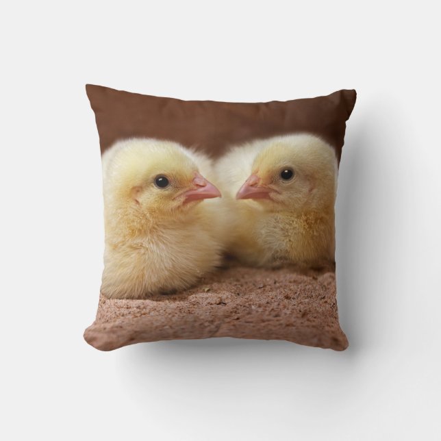 Almohada de los polluelos (Anverso)