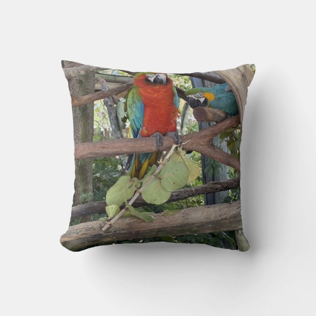 Almohada de Macaw (Anverso)