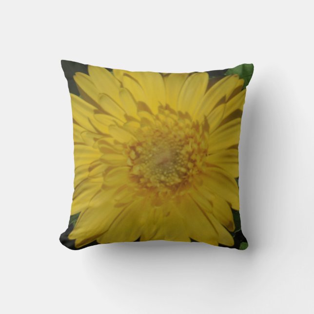 almohada de margarita germinal amarilla casi sólid (Anverso)