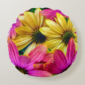 Almohada de margaritas