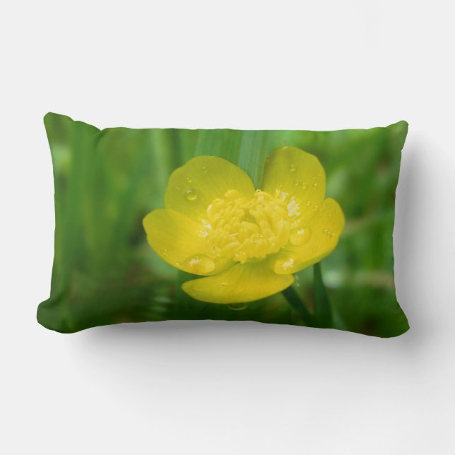 Almohada de mariposa appalache (Anverso)