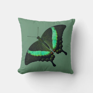 Almohada de Mariposa Cola de Golondrina Esmeralda