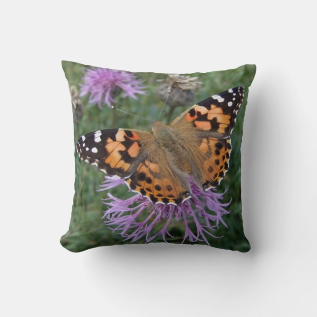 Almohada de mariposa de 'Dama pintada' (Anverso)