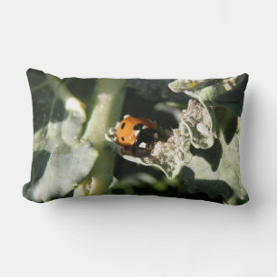 Almohada de Mariquita de 7 Manchas Británica