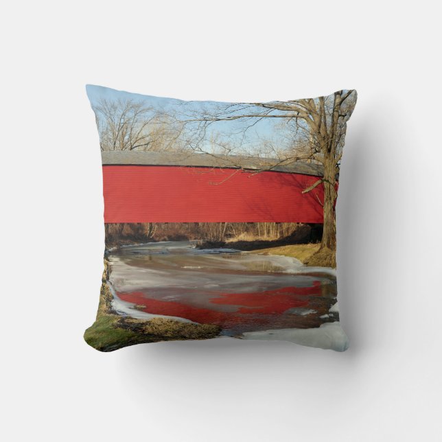 Almohada de MoJo del americano del deshielo del (Anverso)