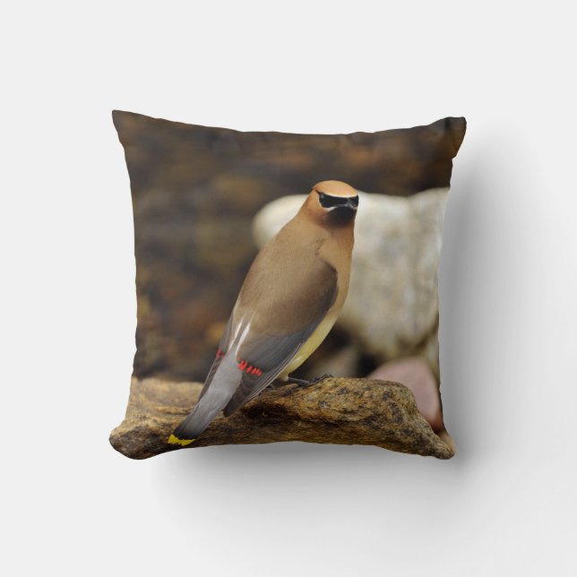 Almohada de MoJo del americano del Waxwing de (Anverso)